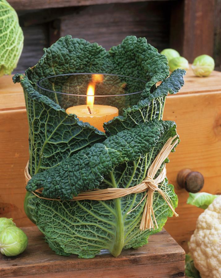 Windlight Wrapped In Savoy Cabbage Leaves Tied With Raffia Photograph by Strauss, Friedrich