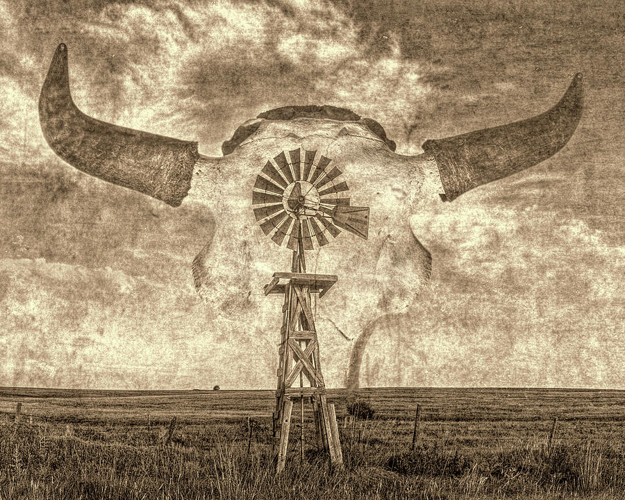 Windmill and Bison 001 Photograph by Rob Graham
