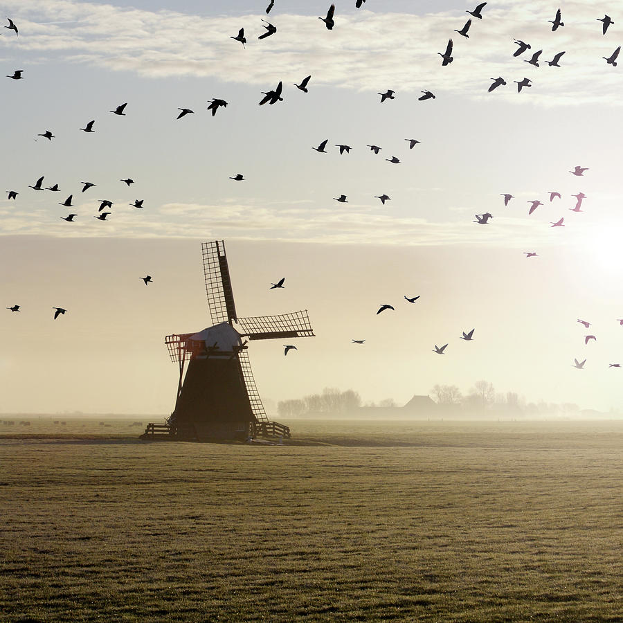Windmill  And Geese Photograph by Marcel Ter Bekke