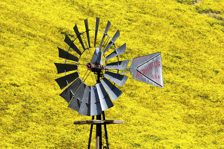 Windmill and Wildflowers Photograph by Rick Pisio