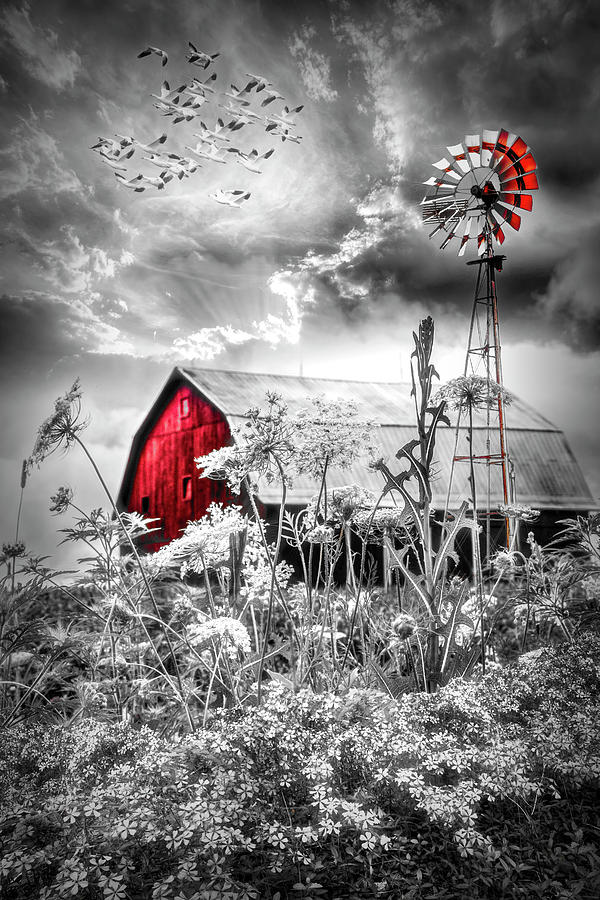 Windmill at the Farm Black and White with Red Photograph by Debra and Dave Vanderlaan