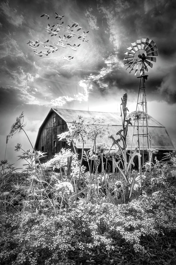 Windmill at the Farm in Black and White Photograph by Debra and Dave Vanderlaan