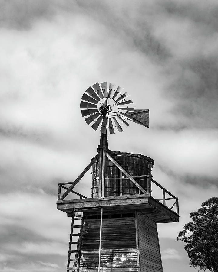 Windmill Cayucos California BW Photograph by David Gordon