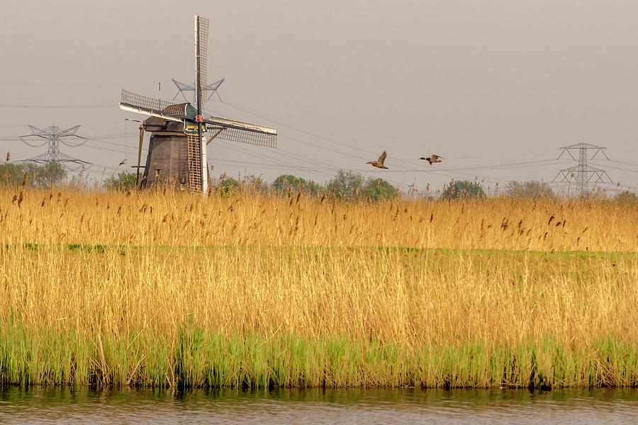 Windmill in a golden field Photograph by Wolfgang Stocker