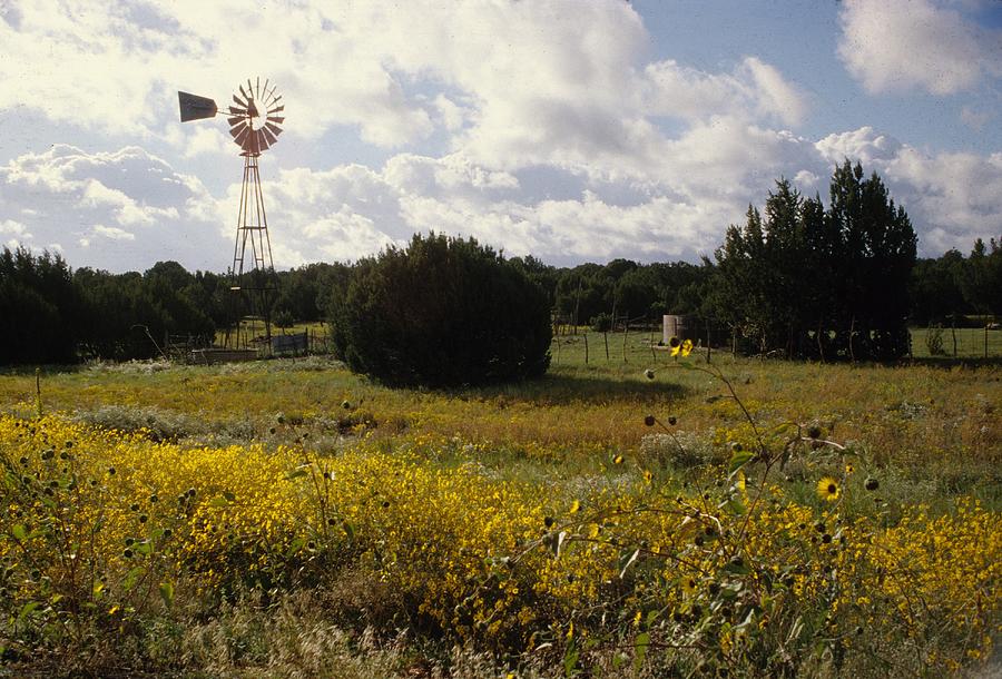 Windmill On An Arizona Farm Photograph by Jim Steinfeldt