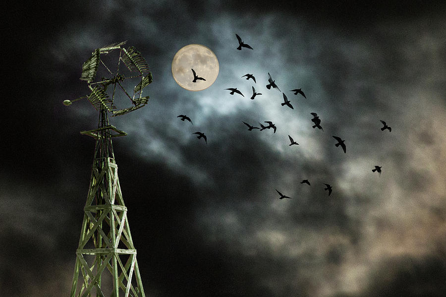 Windmill with Moon and Flying Blackbirds Photograph by Randall Nyhof