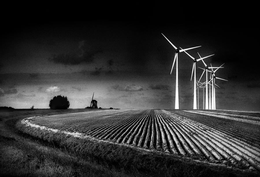 Tree Photograph - Windmills by Marc Apers