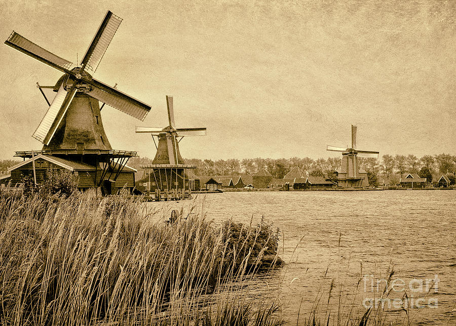 Windmills Of Zaanse Schans Photograph