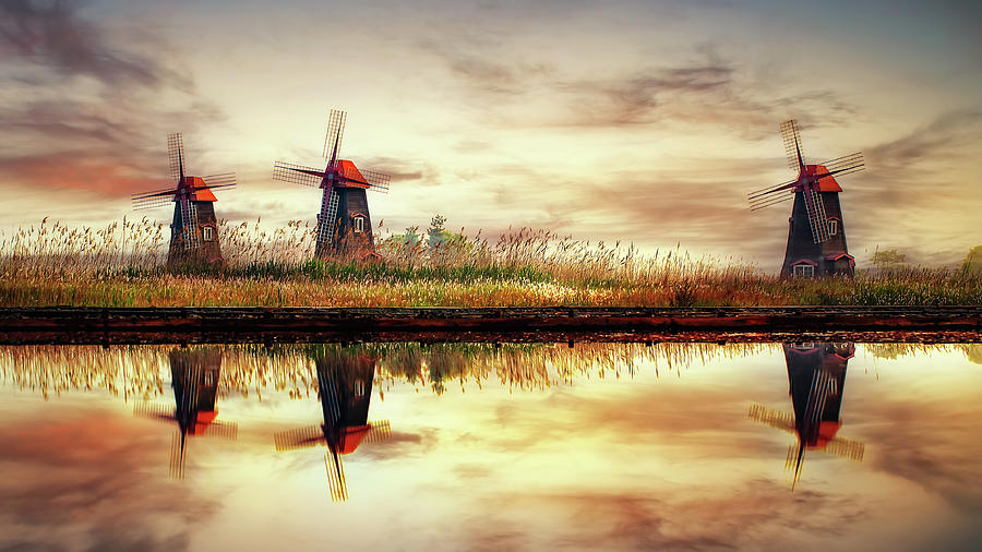 Fall Photograph - Windmills On Salt Pond by Tiger Seo