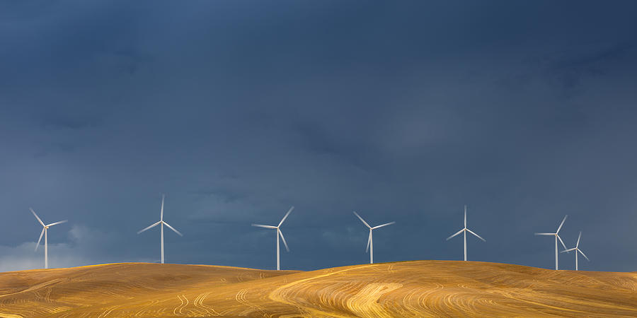 Field Photograph - Windmills by Tony  Xu
