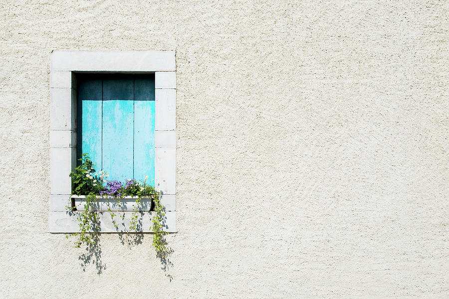 Window And Window-box Of Flowers In Photograph by Michael Betts Window And Window-box Of Flowers In Photograph by Michael Betts