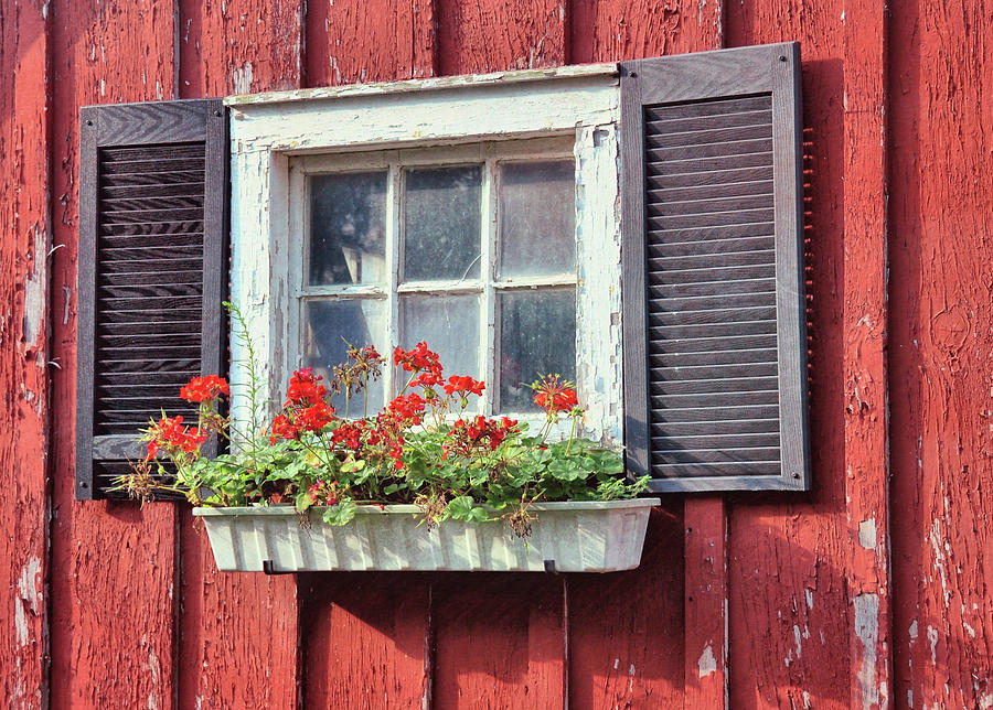 Window Box Photograph by JAMART Photography