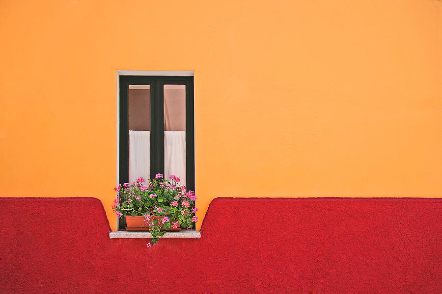 Window Flower Photograph by Rolf Endermann