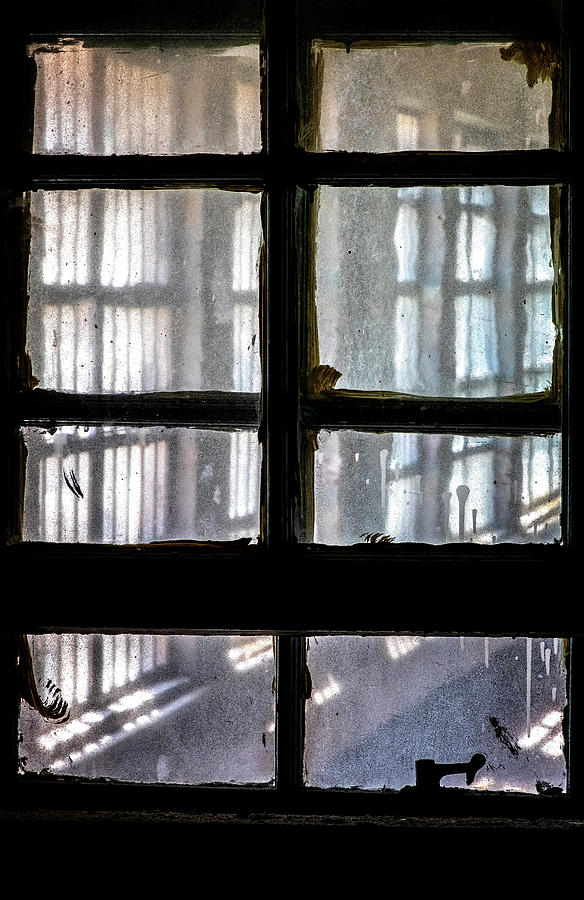 Window In A Window Photograph by Tom Singleton