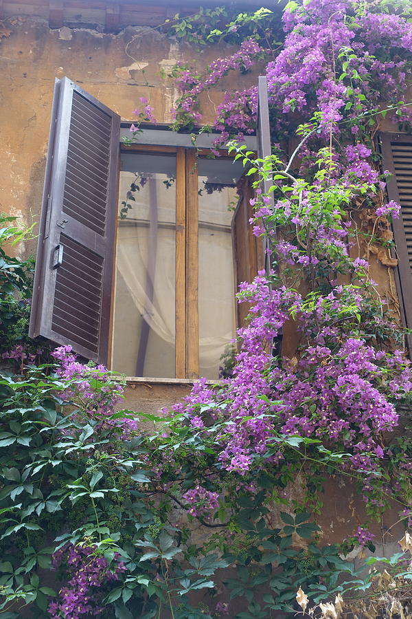 Window in Rome Photograph by Patricia Caron