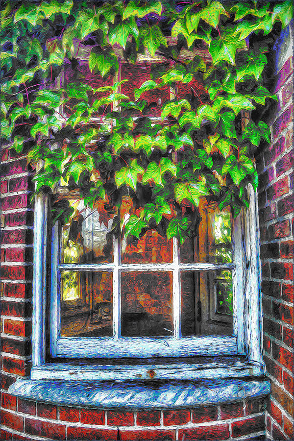 Window Ivy Digital Art by Ronald Bolokofsky