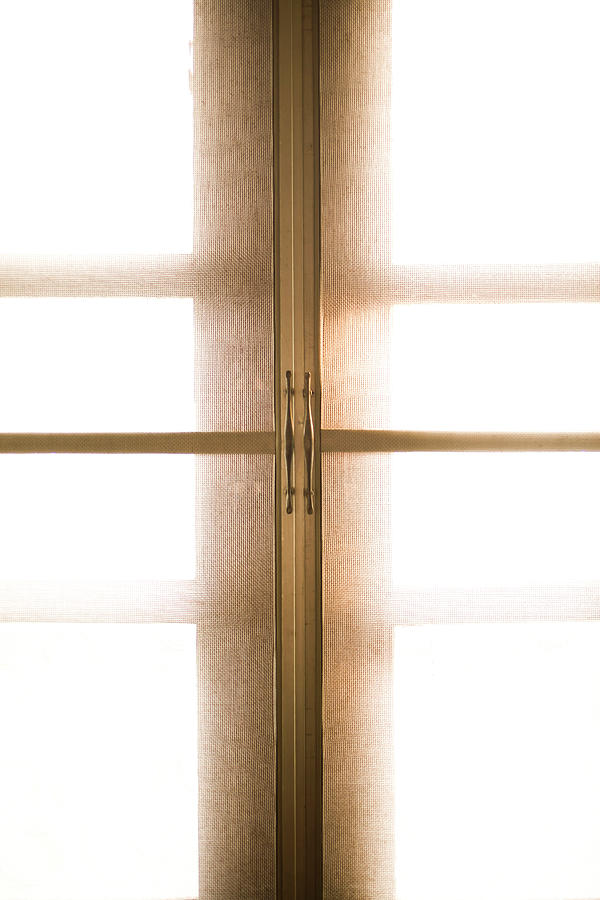 Window Pane Photograph by Johner Images Window Pane Photograph by Johner Images