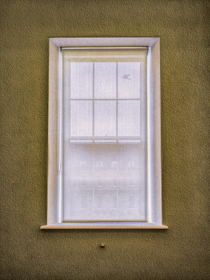 Window Shade Photograph by Paul Wear