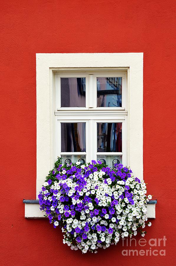 Window Photograph by Thomas Schroeder