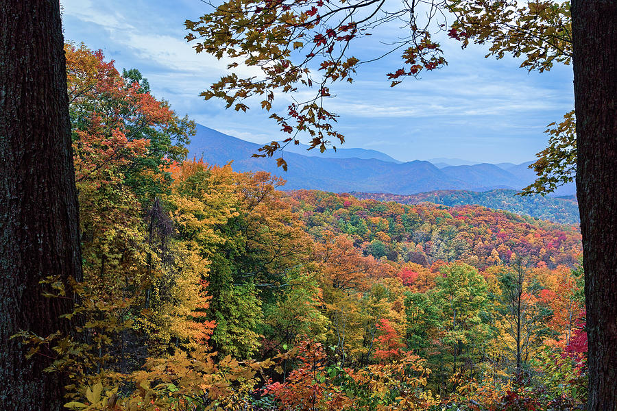 Fall Photograph - Window To The Smoky Mountains by Galloimages Online