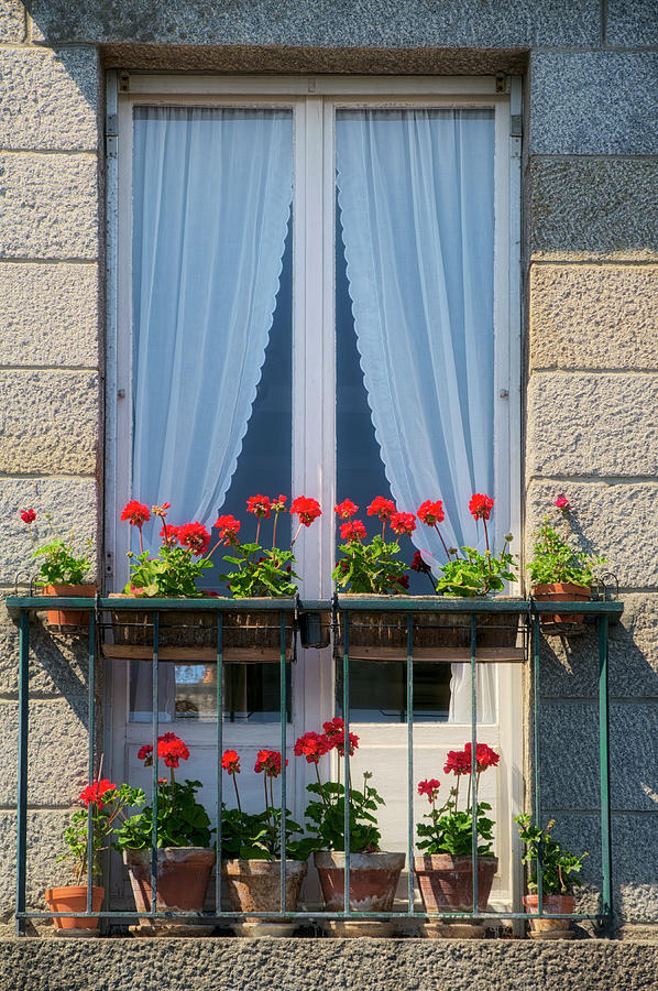 Saint-malo Photograph - Window With Red Geraniums by Cora Niele