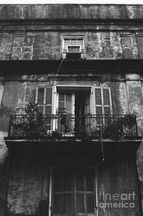 Windows. New Orleans, La Photograph by Alex Snow