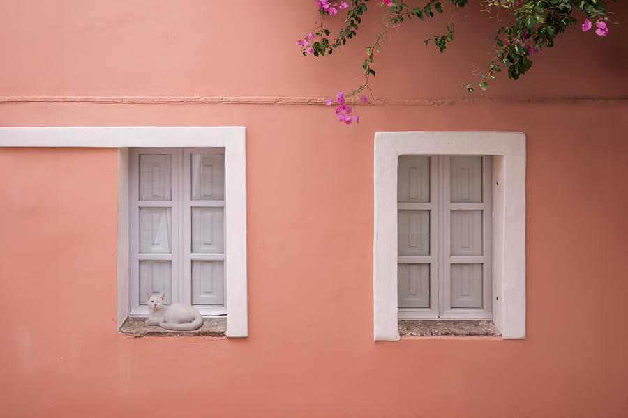 Windows Photograph by Ling Zhang