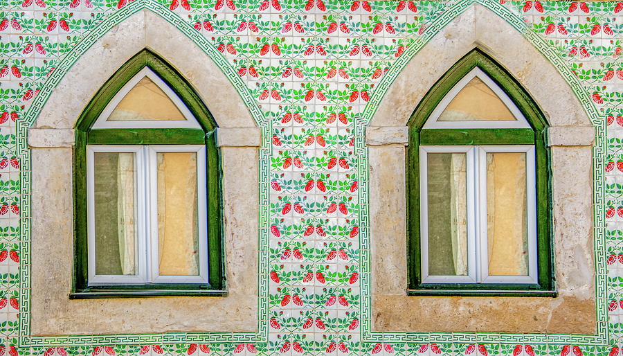 Windows of Lisbon Photograph by Marcy Wielfaert