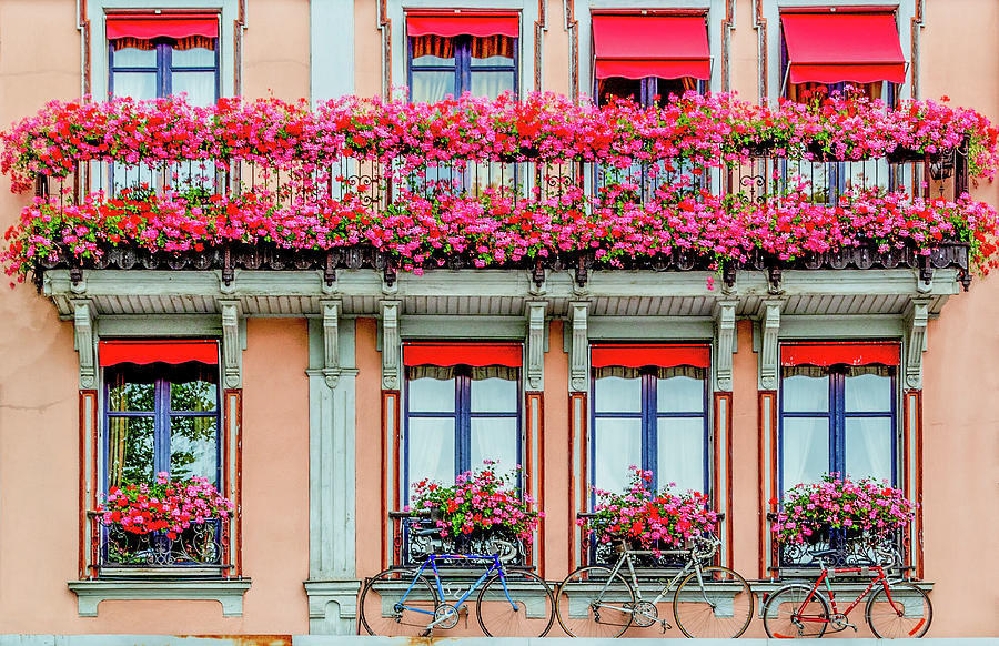 Windows of Troyes, France Photograph by Marcy Wielfaert