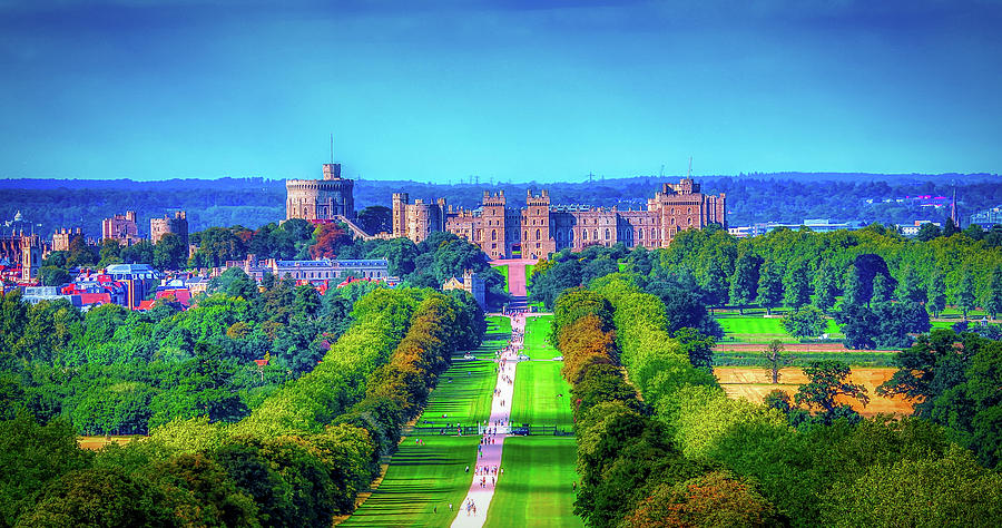 Tree Photograph - Windsor Castle by Mountain Dreams