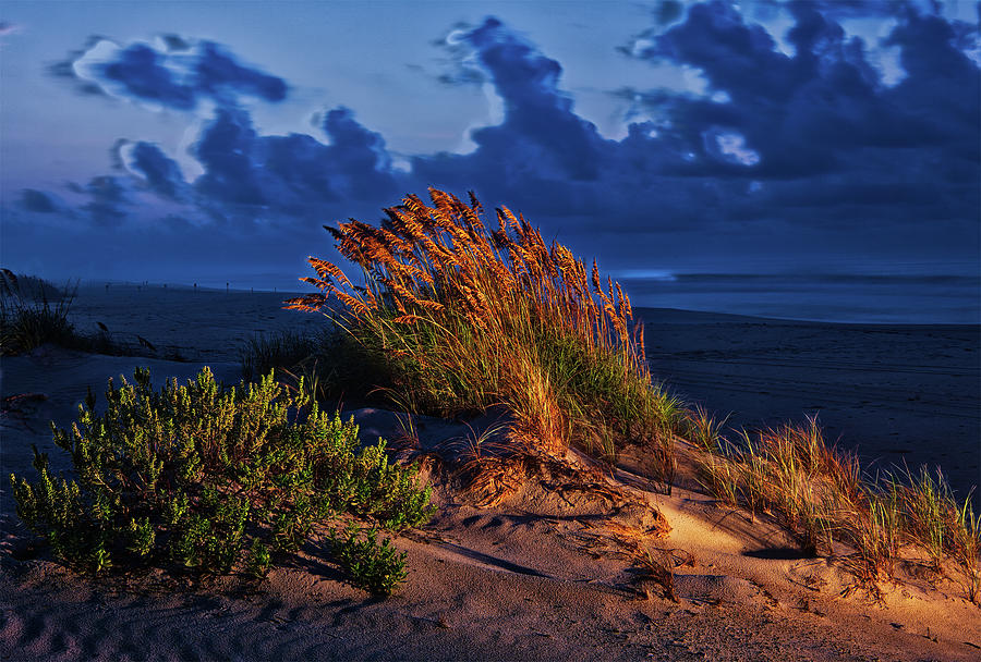 Windswept Beach Photograph by Dan Carmichael
