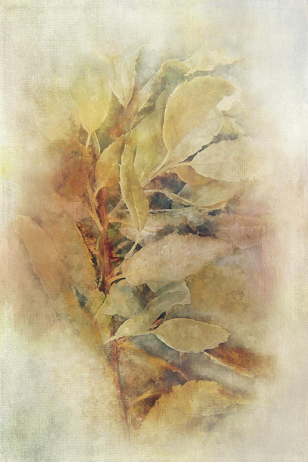 Windswept Leaves Digital Art by Terry Davis