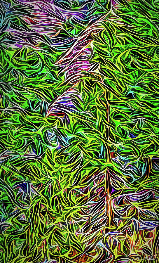 Windswept Mountain Pines Digital Art by Joel Bruce Wallach