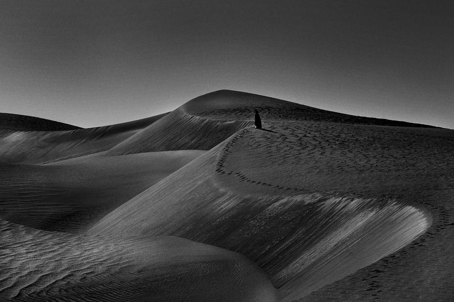 Windswept Sand Dunes Photograph by Arman Mohammadi