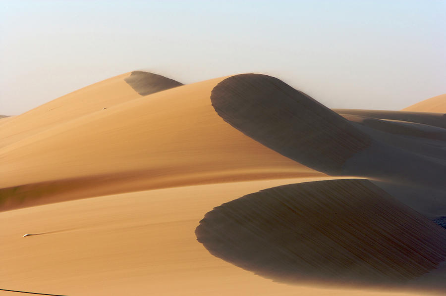 Windswept Sand Dunes Of Namib Desert Photograph by Heinrich Van Den Berg