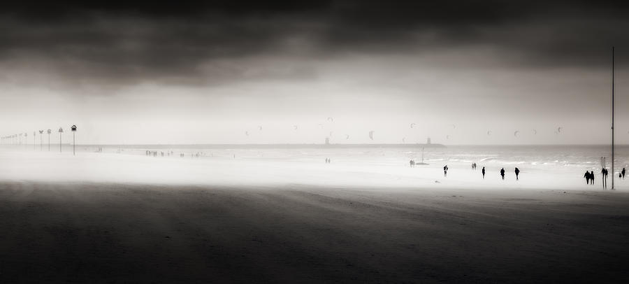 Windy Beach Photograph by Marc Huybrighs
