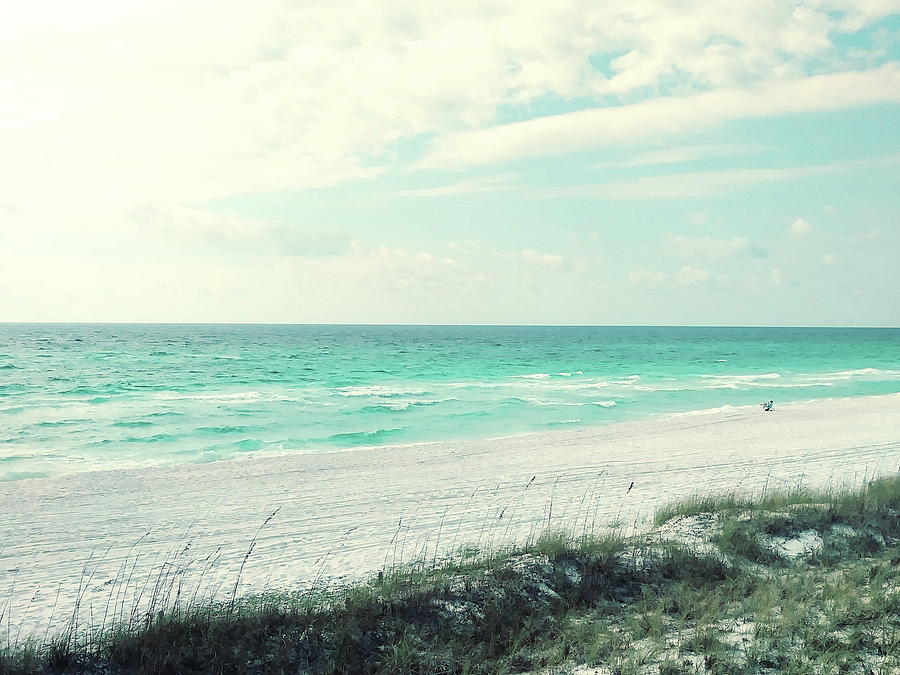 Windy Beach Scene Digital Art by Melissa Vestal | Fine Art America