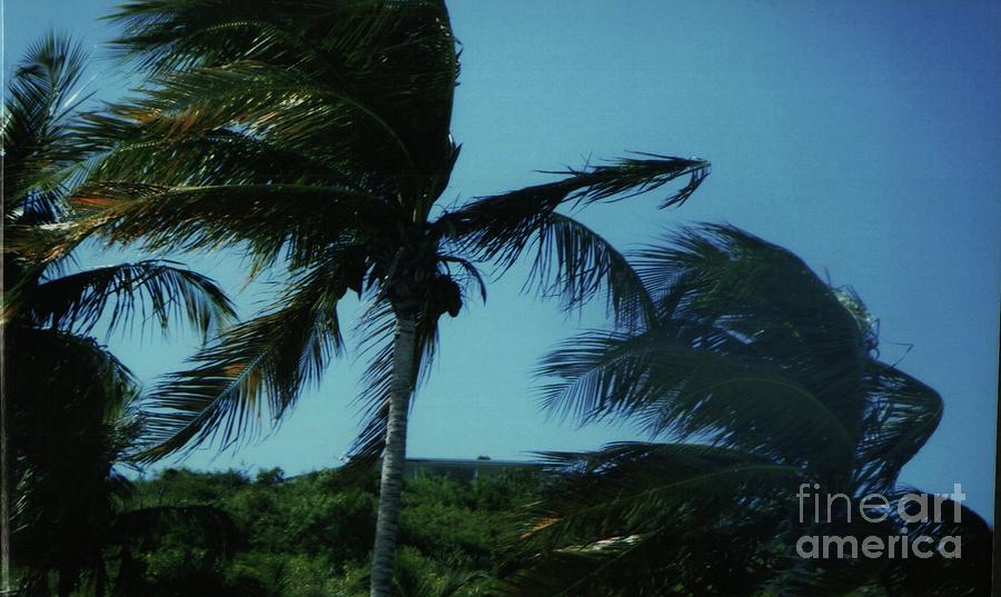Windy Day In St. Thomas Photograph by Barbra Telfer