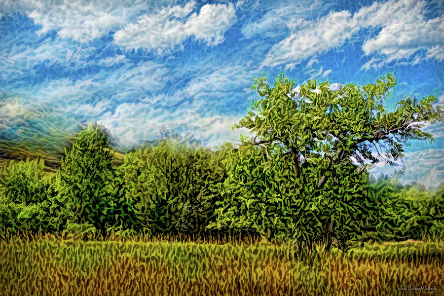 Windy Field Afternoon Digital Art by Joel Bruce Wallach