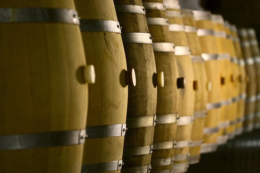 Wine Barrels Photograph by Copyright © Sunil Chaturvedi. All Rights Reserved.
