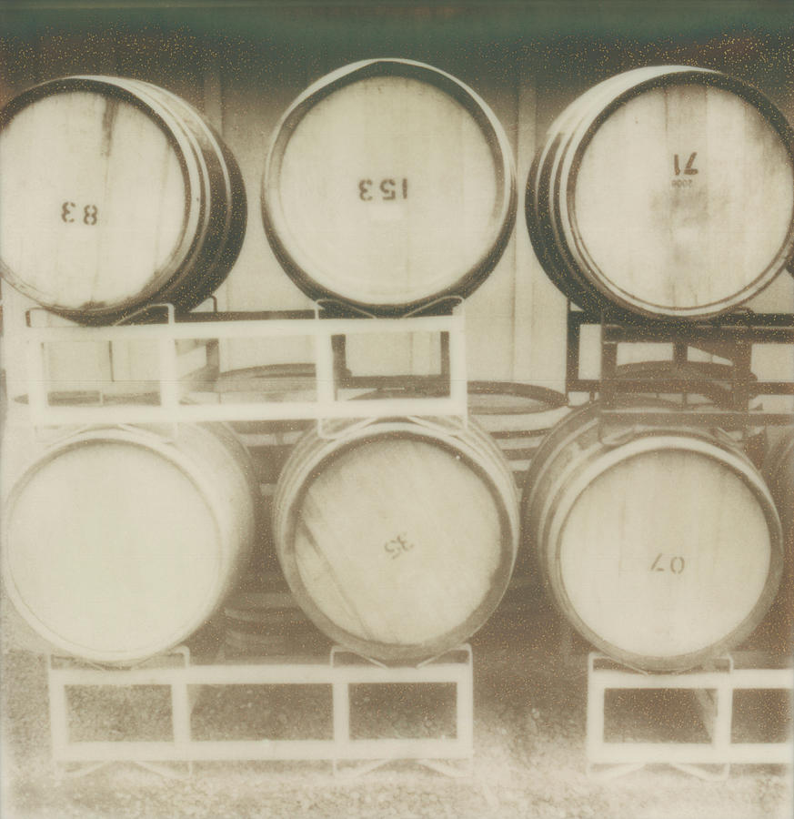Wine Barrels Photograph by Laura A. Watt