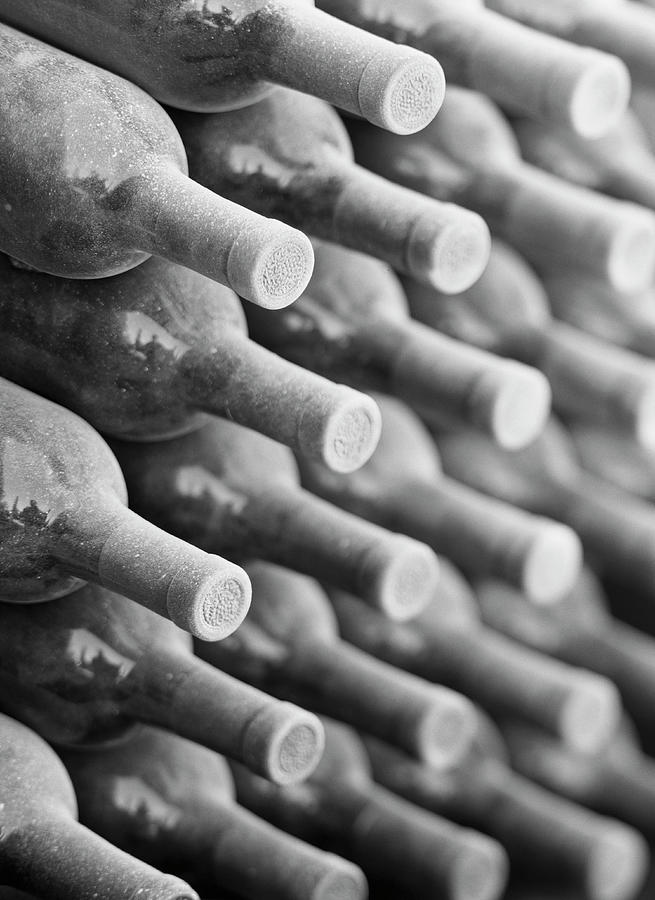 Wine Bottles In Cellar B&w Photograph by Terry Vine