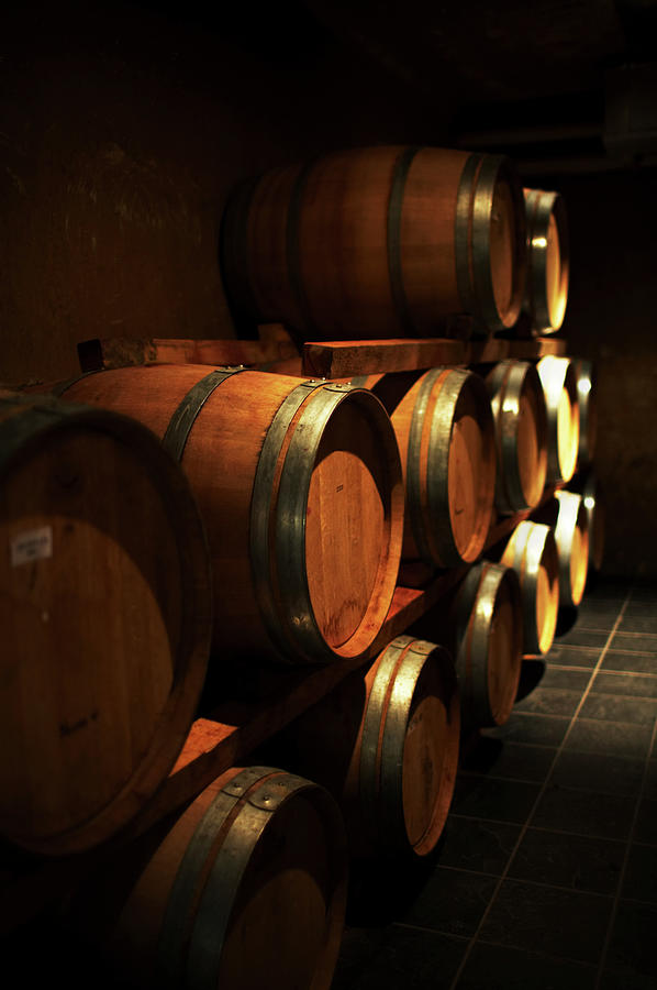 Wine Casks Photograph by Rapideye