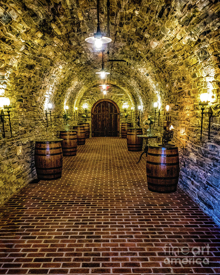 Wine Cellar Photograph by Nick Zelinsky Jr
