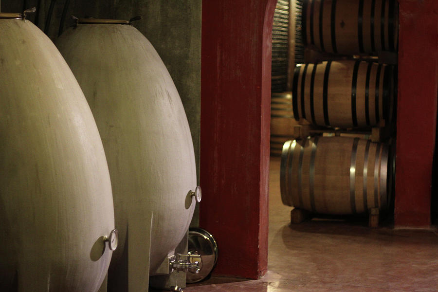 Wine Cellar Photograph by Tom And Steve Wine Cellar Photograph by Tom And Steve