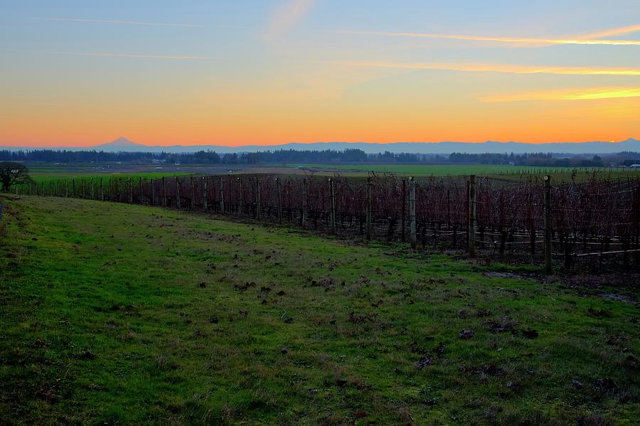 Wine Country Mt. Hood Sunrise by Jerry Sodorff Wine Country Mt. Hood Sunrise by Jerry Sodorff