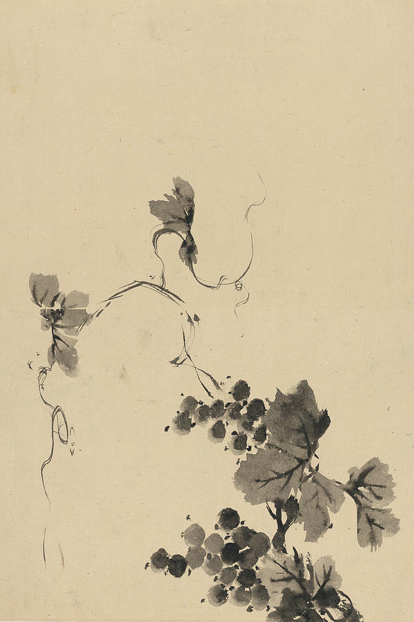 Wine Grape Vine Painting by Unknown