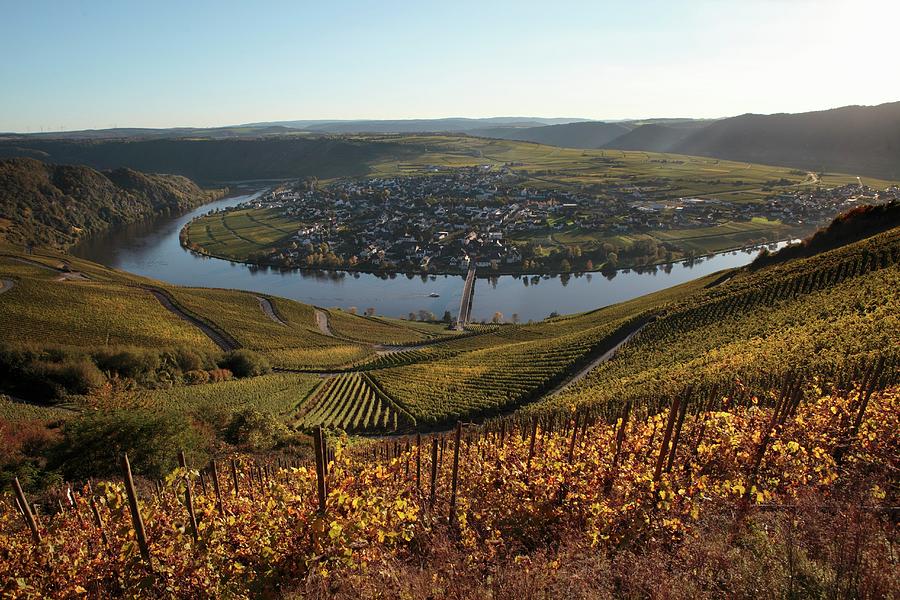 Wine-growing Landscape By The Mosel River Photograph by Peter Garten