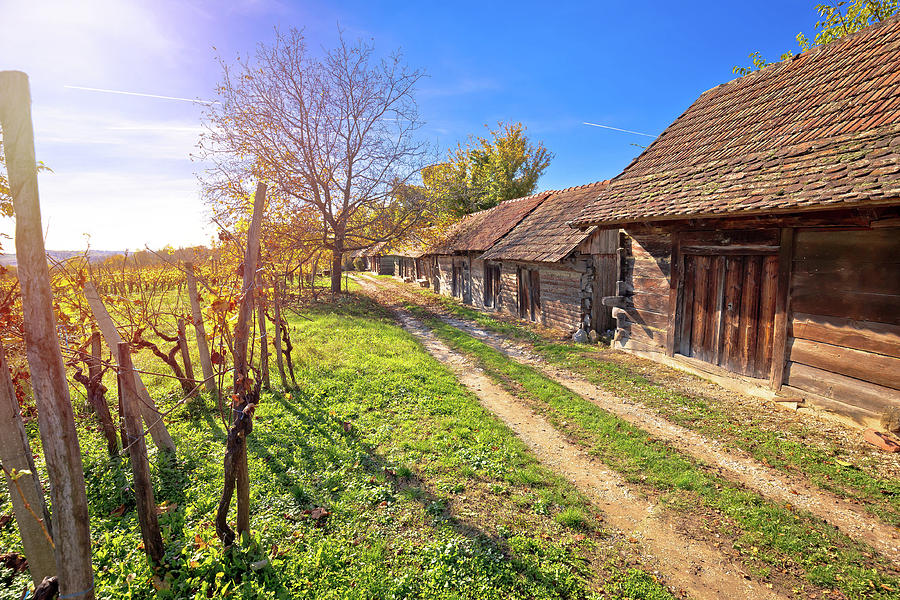 Wine historic street vineyards and wooden cottages Photograph by Brch Photography