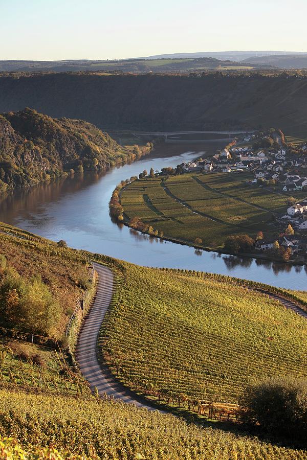 Wine Landscape By The River Mosel At A Bend In The River Photograph by Peter Garten